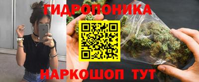 индика Бузулук