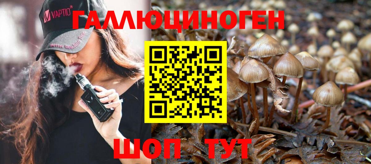 МЕТАДОН Электросталь