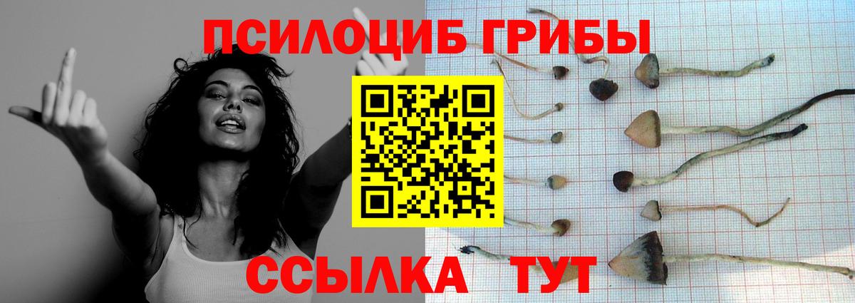 Псилоцибиновые грибы прущие грибы  Электросталь 