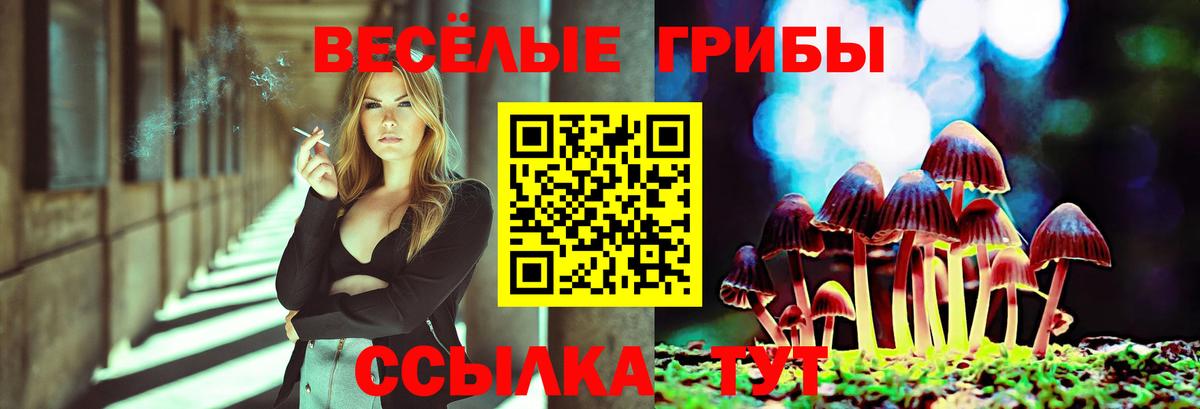Галлюциногенные грибы Cubensis  Вход с VPN  Электросталь 